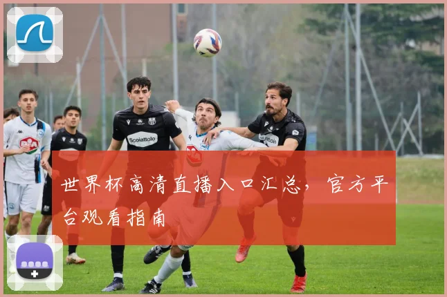 世界杯高清直播入口汇总，官方平台观看指南
