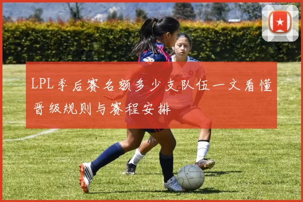 LPL季后赛名额多少支队伍一文看懂晋级规则与赛程安排