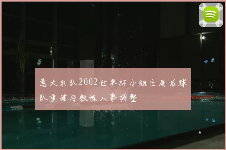 意大利队2002世界杯小组出局后球队重建与教练人事调整