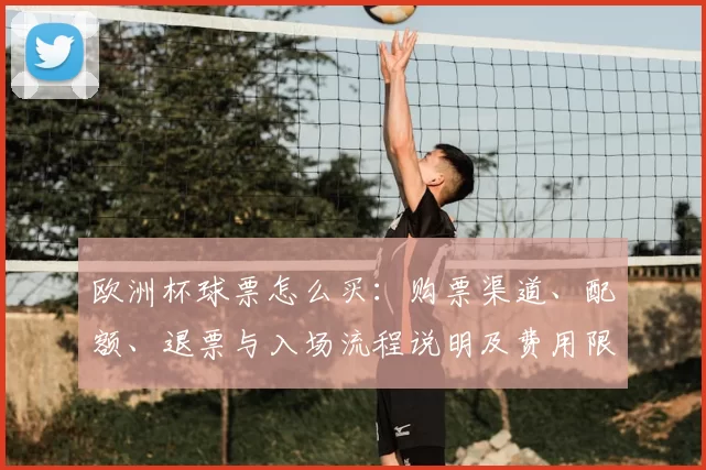 欧洲杯球票怎么买:购票渠道、配额、退票与入场流程说明及费用限制
