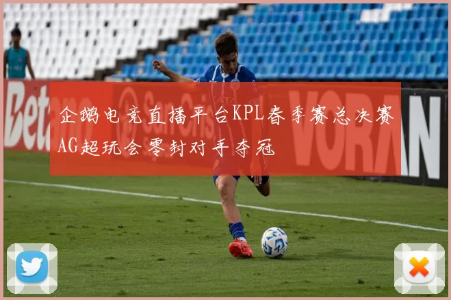 企鹅电竞直播平台KPL春季赛总决赛AG超玩会零封对手夺冠