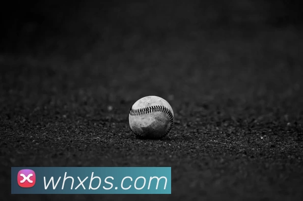 星空体育app登录入口 - 星空体育(中国)APP 封面图